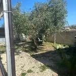 Viale Dei Fiori 펜션 아우구스타